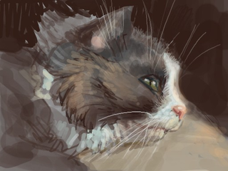 Illustration for article titled Using the Nintendo DS to Paint Very Pretty Pictures
